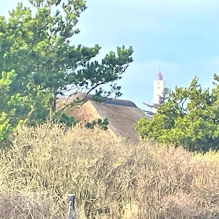 3 Bedroom Beautiful In Prázdninový dům Blåvand